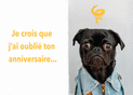 Je suis d&eacute;sol&eacute; d'avoir oubli&eacute; ton anniversaire